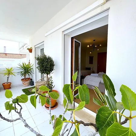 Boutique W Sea View And Private Rooftop Terace شقة نازاريه